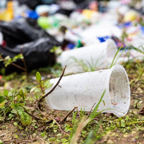 Berapa Banyak Yang Dihasilkan Oleh Seorang Sampah?